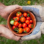 Volunteer to Community Food Services